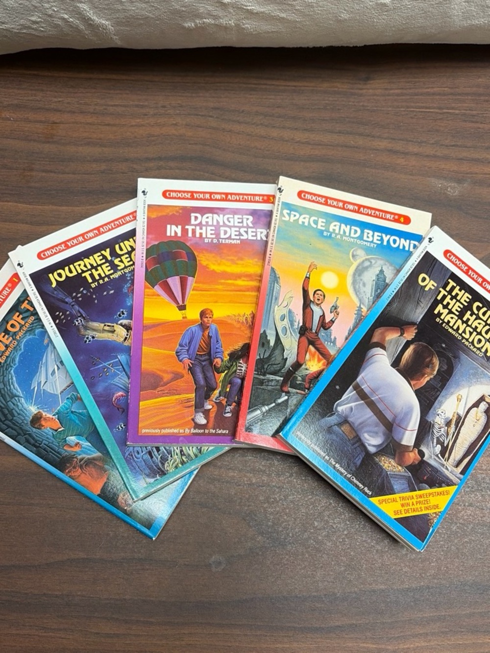 Vintage Book Set - Multicolor Covers